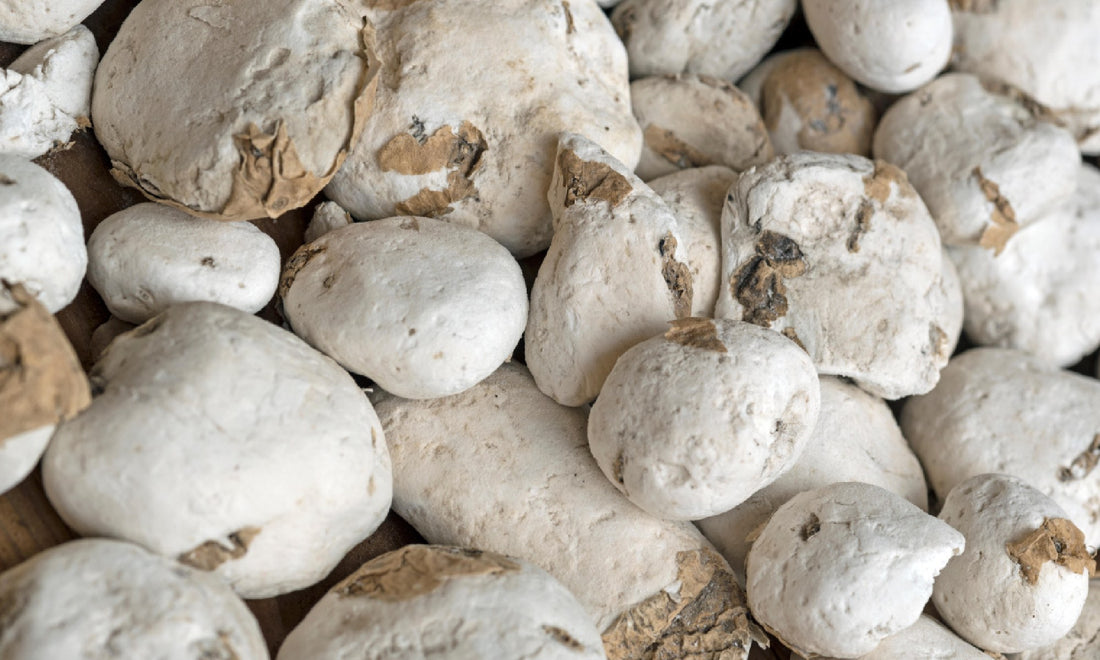 Freeze-dried potatoes
