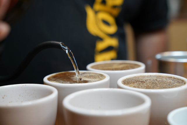 What Is Low Acid Coffee? Benefits, Taste & More