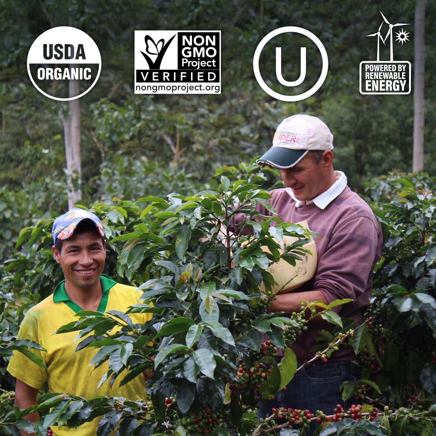 USDA ORGANIC
NON GMO
POWERED BY RENEWABLE ENERGY
