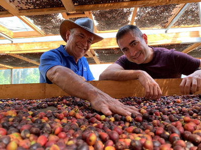 The Importance of Latin American Representation in Specialty Coffee