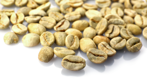 Types of Coffee Beans Explained for Beginners