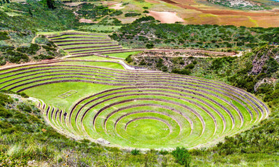 Innovadores antiguos: todos hemos aprendido de los incas