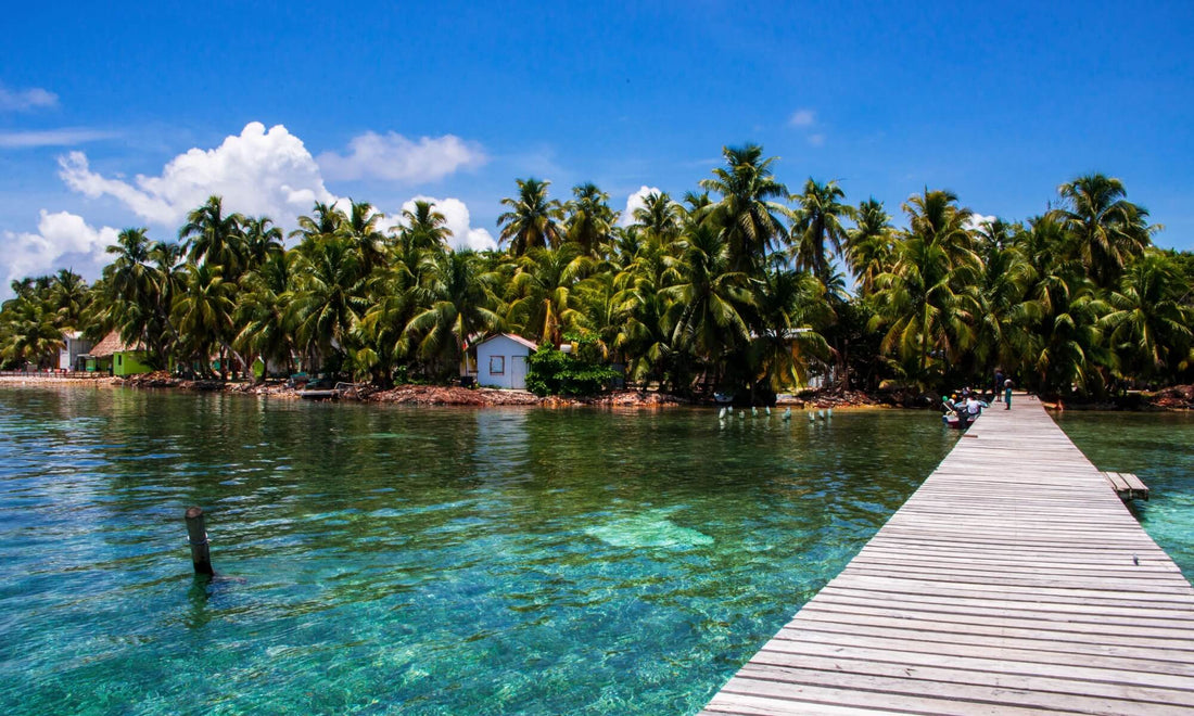 A pier stretching out to an island full of palm trees, across crystal clear, turquoise water
