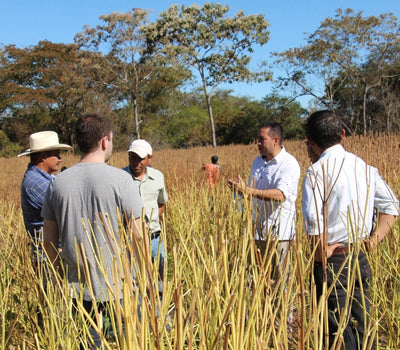 Organic First: The Foundation for Regenerative Coffee Farming