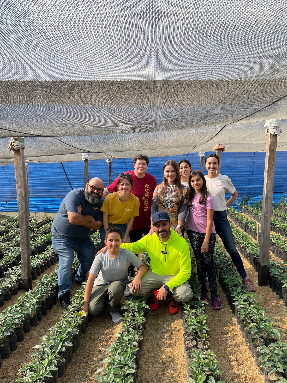 PLANTING OPPORTUNITY AND IMPACT: MAYORGA COFFEE’S SEEDLING DONATION TO LA HERMOSA CO-OP, GUATEMALA
