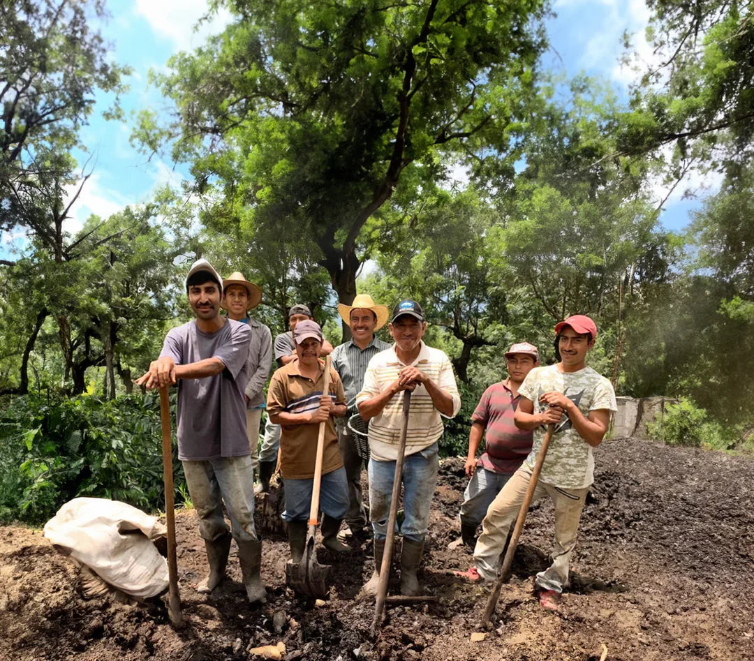 Coffee farmers in Guatemala