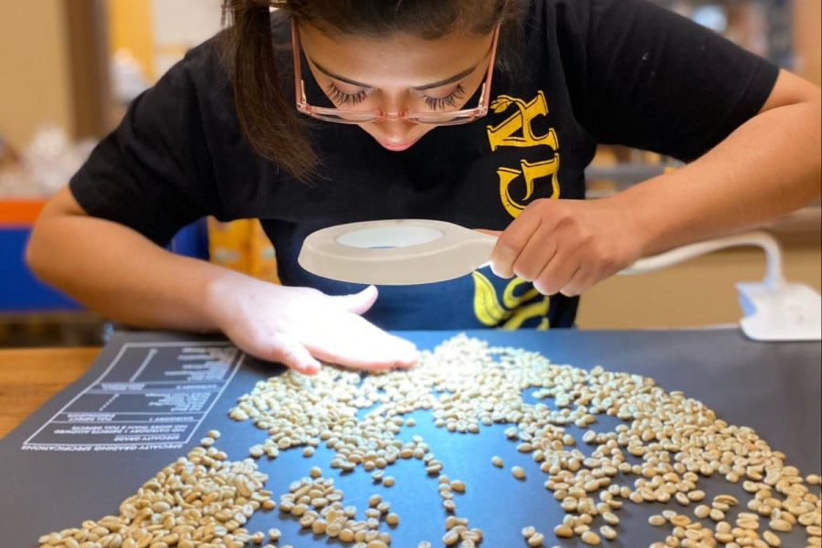 A woman looking at high quality coffee beans through a magnifying glass