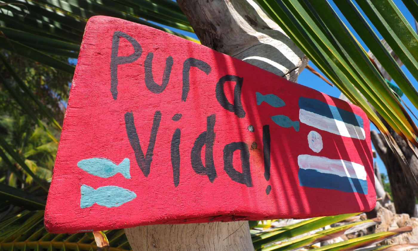 Red sign on a palm tree, with "Pura Vida" written on it.