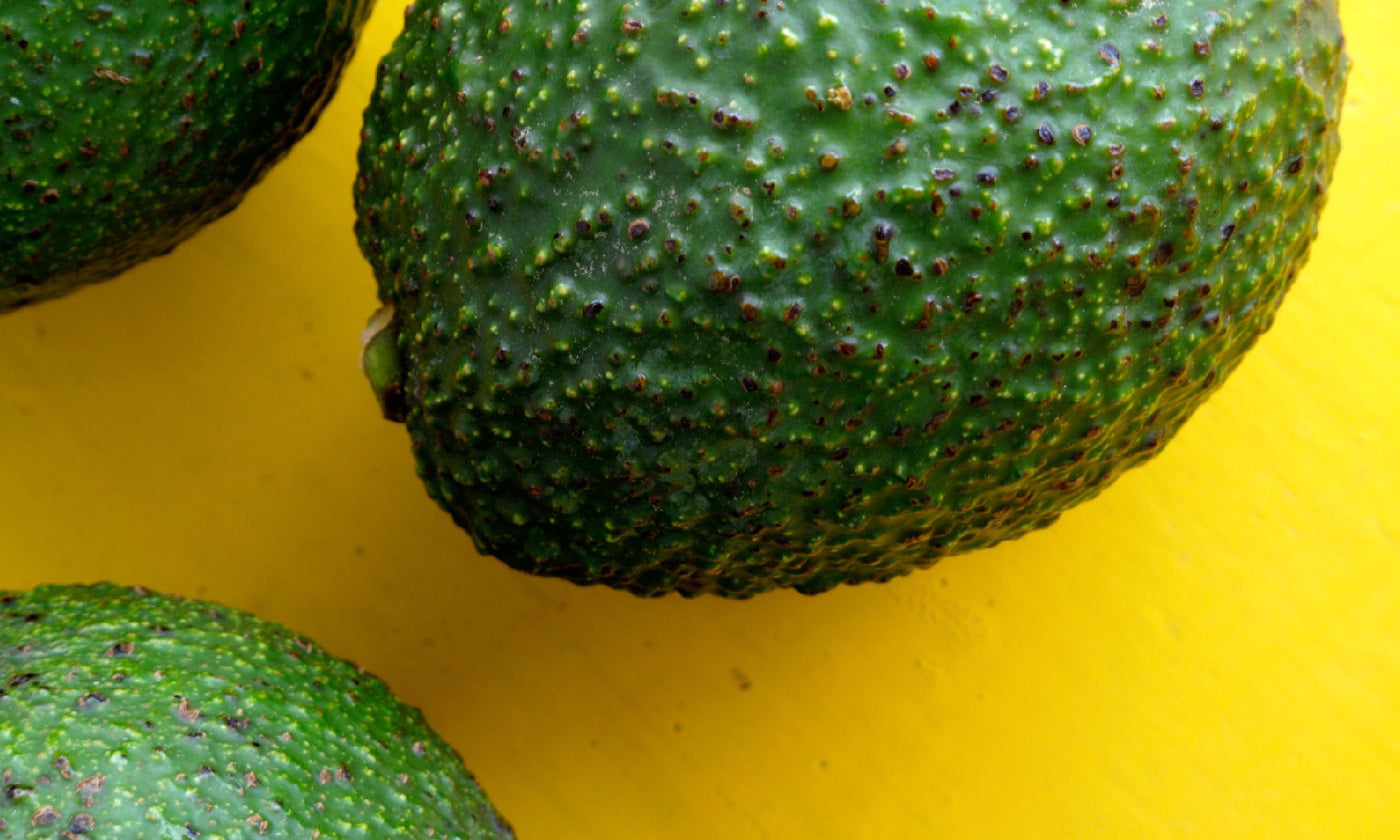 Close up of green avocado 