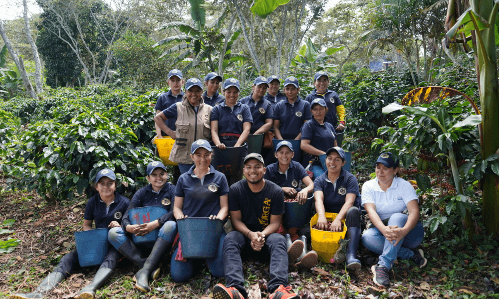 Mayorga coffee farmers gathered in a group on a coffee farm