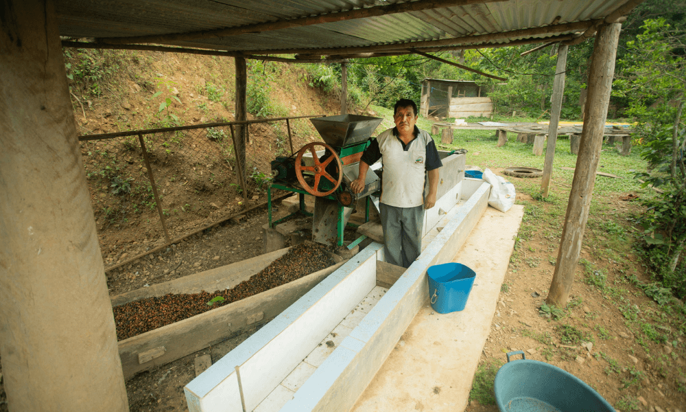A coffee farmer in Honduras stood next to a single, manual coffee dryer
