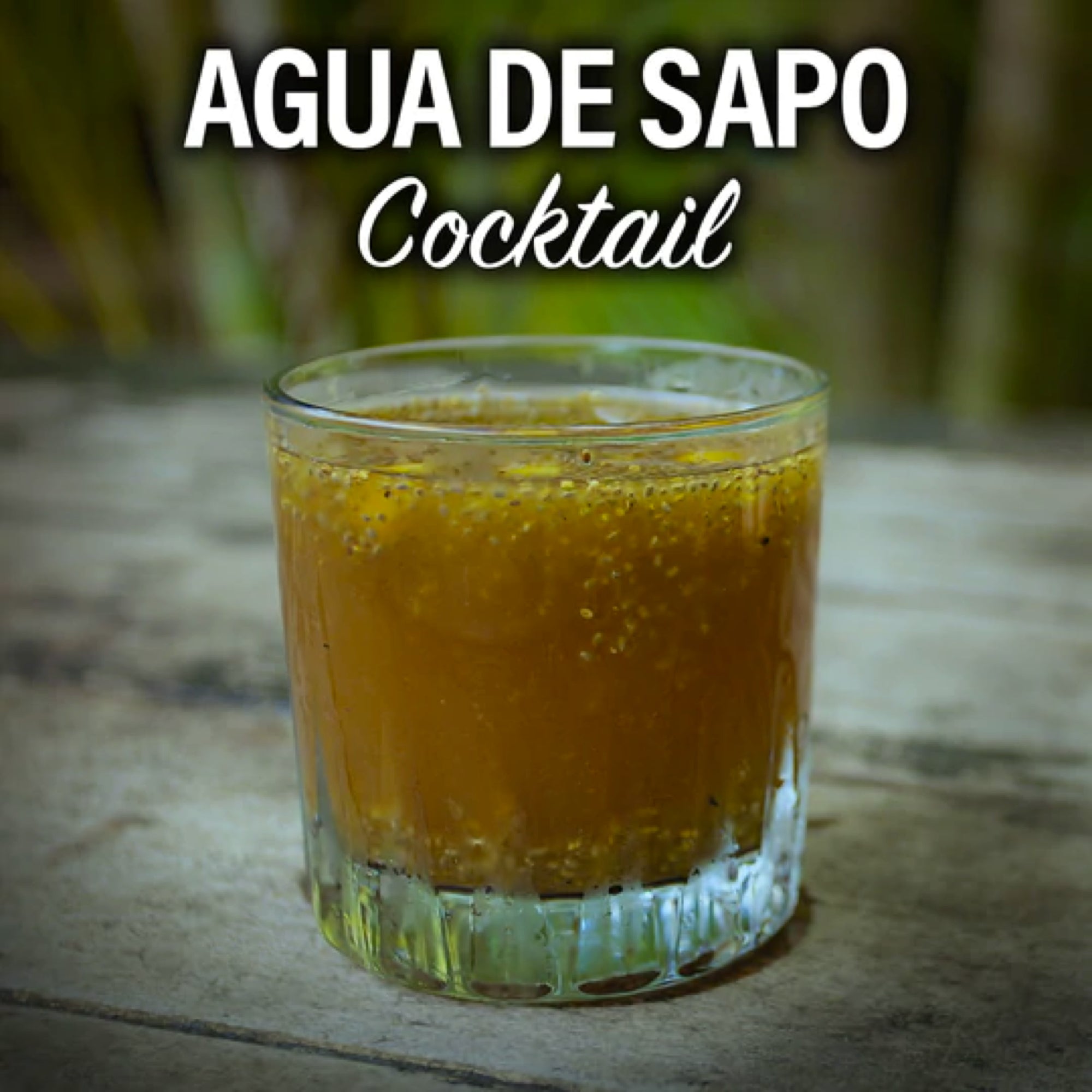 CHIA RECIPES - Mayorga Coffee