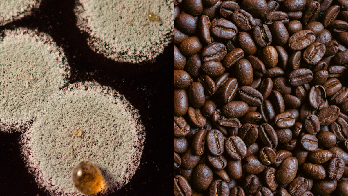 What Are Mold and Mycotoxins in Coffee?