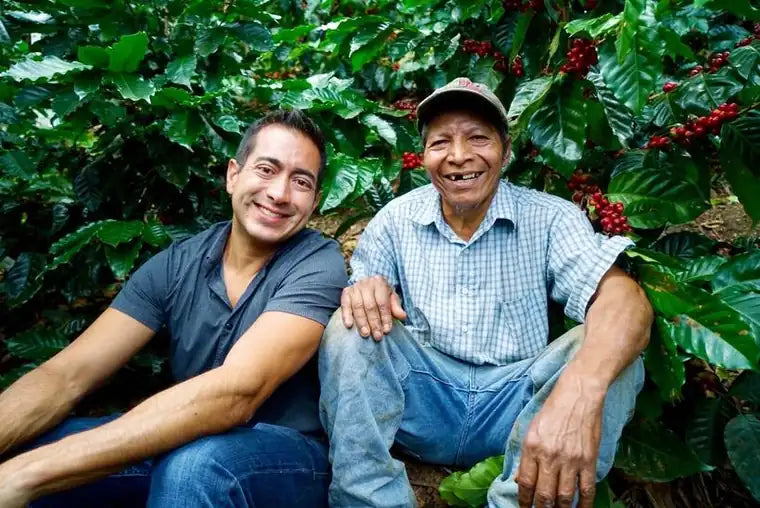 Mayorga Coffee