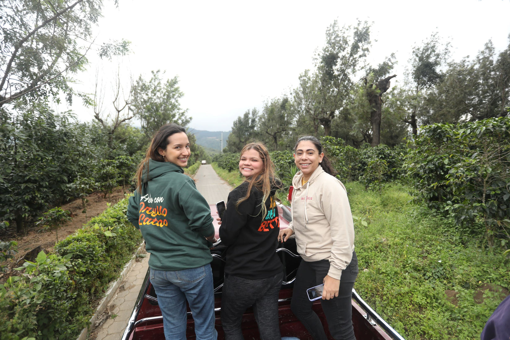 3 Hoodie Examples

Green, Black, Beige 