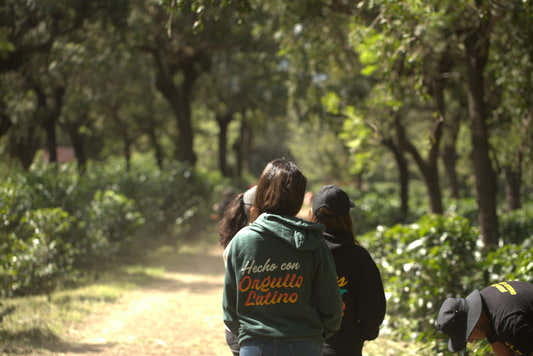 Hecho con Orgullo Latino Hoodie