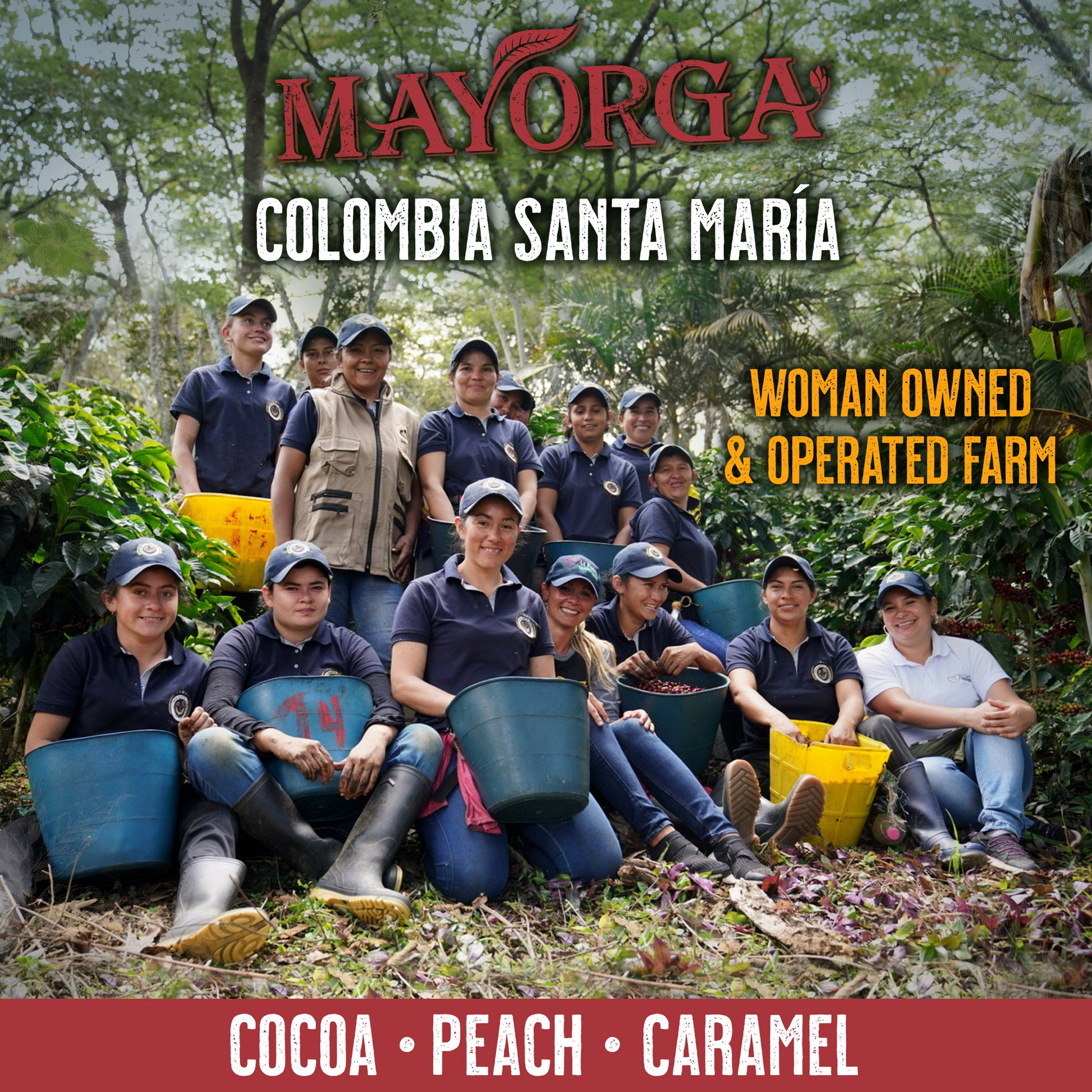 Colombia Santa María Farm 

Woman owned and operated 